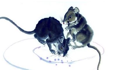 属鼠人2018年5月运势详解