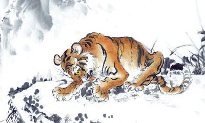 属虎人2018年5月运势详解