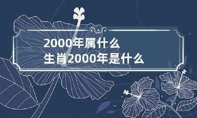 2000年属什么生肖?2000年是什么年? 2000年属什么的生肖