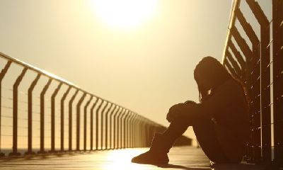 属猪人2018年12月运势：运势上升 精力充沛