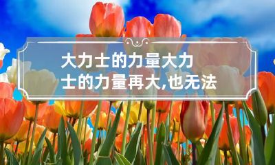 大力士的力量 大力士的力量再大,也无法举起自己