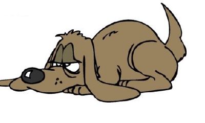 1994年出生属狗的人2018年运程