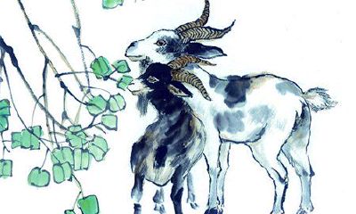 1979年出生属羊的人2015年运程