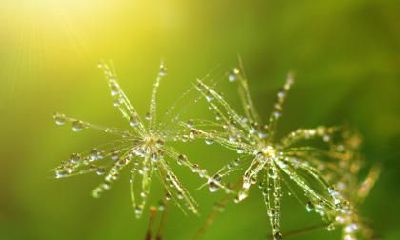 2020年腊月十二月初八大寒节气这天的日子好吗，适合签约吗？