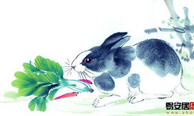 1951年出生属兔的人2015年运程