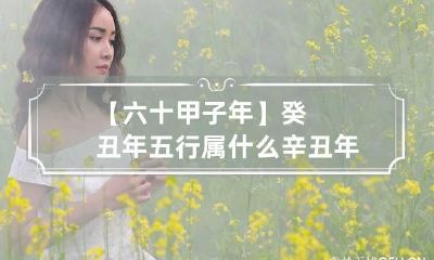 【六十甲子年】癸丑年五行属什么 辛丑年六十甲子