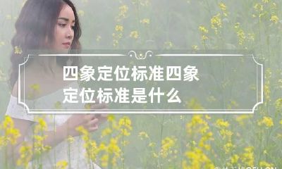 四象定位标准 四象定位标准是什么