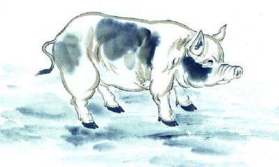 2019年属猪的几月出生最好命