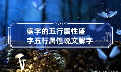 盛字的五行属性 盛字五行属性说文解字
