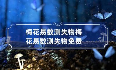 梅花易数测失物 梅花易数测失物免费