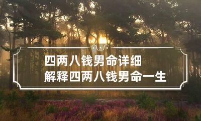 四两八钱男命详细解释 四两八钱男命一生总结