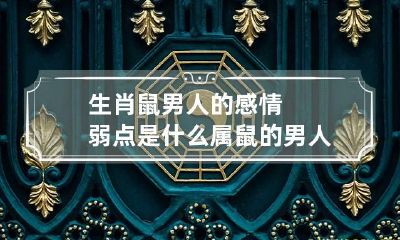 生肖鼠男人的感情弱点是什么 属鼠的男人感情弱点