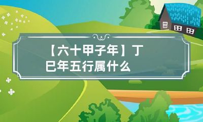 【六十甲子年】丁巳年五行属什么