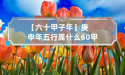 【六十甲子年】庚申年五行属什么 60甲子年五行