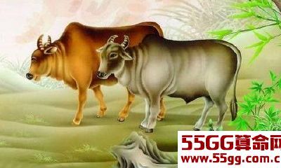 2018年腊八开始，这三大生肖鸿运当头，财源滚滚来！