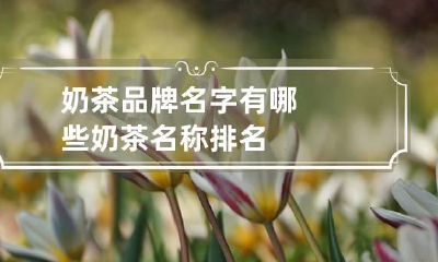 奶茶品牌名字有哪些 奶茶名称排名