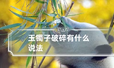 玉镯子破碎有什么说法
