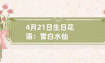 4月21日生日花语：雪白水仙