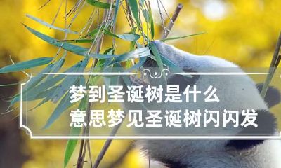 梦到圣诞树是什么意思 梦见圣诞树闪闪发亮