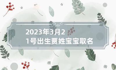 2023年3月21号出生贾姓宝宝取名叫什么