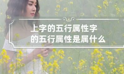 上字的五行属性 字的五行属性是属什么