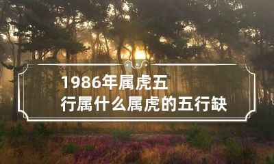1986年属虎五行属什么 属虎的五行缺什么