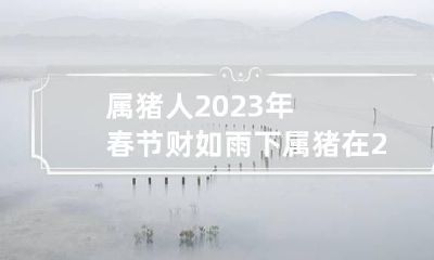 属猪人2023年春节财如雨下 属猪在2023年运势怎么样