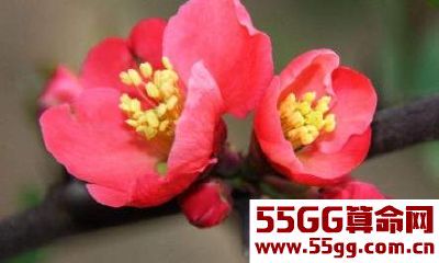 2017年若穷一天，2018年开始，你就富10年！恭喜这3大生肖