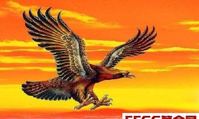 2017年穷酸让人瞧不起，2018年却谁也高攀不上的生肖