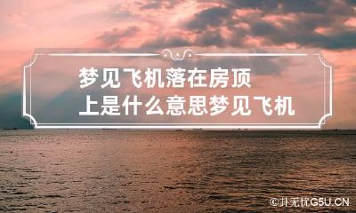 梦见飞机落在房顶上是什么意思 梦见飞机坠落在自己家房顶