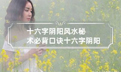 十六字阴阳风水秘术必背口诀 十六字阴阳风水秘术口诀表