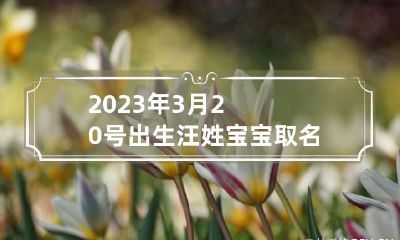 2023年3月20号出生汪姓宝宝取名叫什么