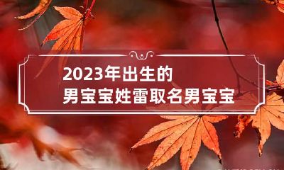 2023年出生的男宝宝姓雷取名 男宝宝姓雷取什么名字