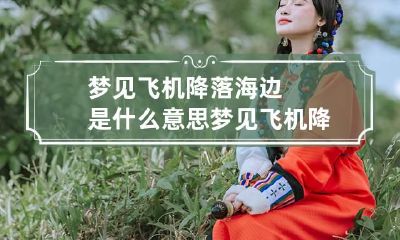 梦见飞机降落海边是什么意思 梦见飞机降落海边是什么意思呀