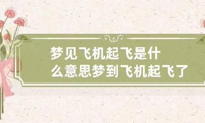 梦见飞机起飞是什么意思 梦到飞机起飞了一会又降落了