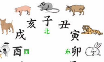 辰对应的生肖