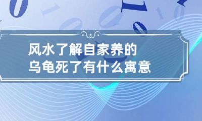 风水了解自家养的乌龟死了有什么寓意