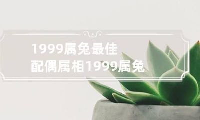 1999属兔最佳配偶属相 1999属兔最佳配偶属相鼠