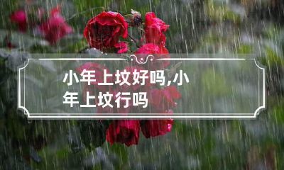 小年上坟好吗,小年上坟行吗