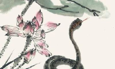 一生灾祸远离，活到99，富到老的3大生肖