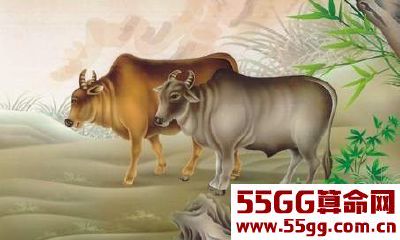 2018年能脱单又能发财，这三个生肖，喜上眉梢，笑口常开！