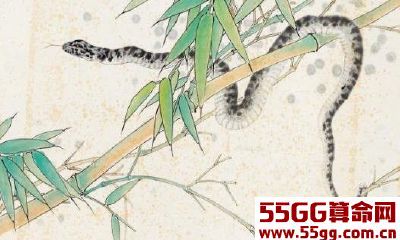 大吉大利的三大生肖，这三大生肖狗年拥有好运