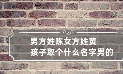 男方姓陈女方姓黄孩子取个什么名字 男的姓陈女的姓黄 取名