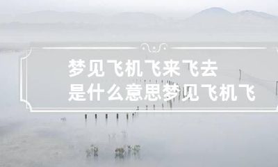 梦见飞机飞来飞去是什么意思 梦见飞机飞起来了是什么意思