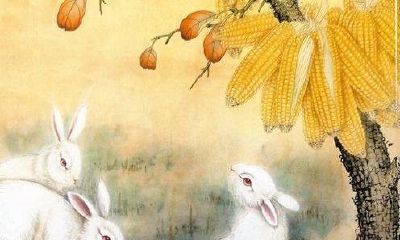 最惹不起的生肖，日后一鸣惊人，注定一生不愁钱！