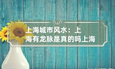 上海城市风水：上海有龙脉是真的吗 上海龙脉图片