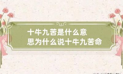 十牛九苦是什么意思 为什么说十牛九苦命