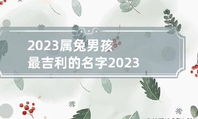 2023属兔男孩最吉利的名字 2023属兔男孩最吉利的名字乳名