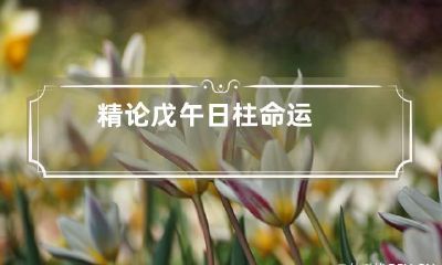 精论戊午日柱命运