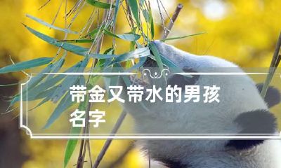 带金又带水的男孩名字